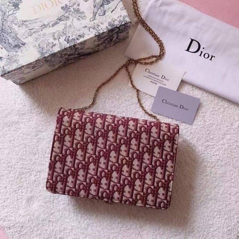 D*or trotter saddle shoulder bag
