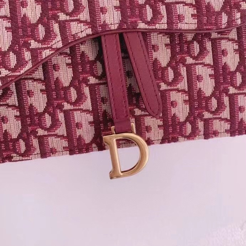 D*or trotter saddle shoulder bag