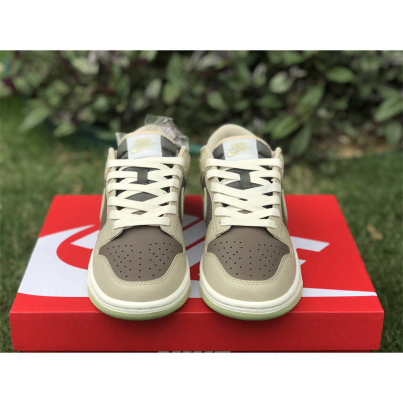 Nike Dunk Low Retro Judge Grey