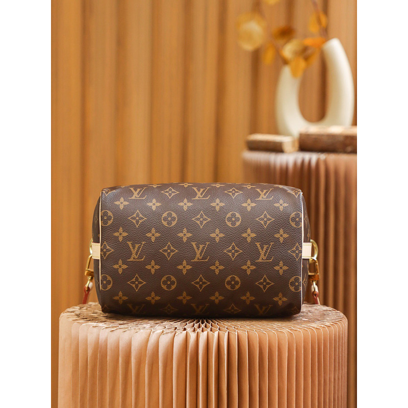 l**is V*t*n speedy monogram 25 brown