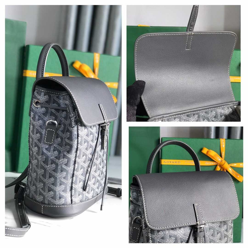 Go*ard alpin mini backpack gray