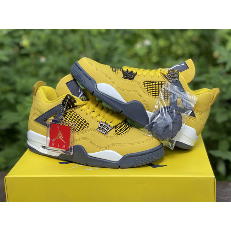 Air Jordan 4 RETRO CT8527 700 Sneakers Men Women