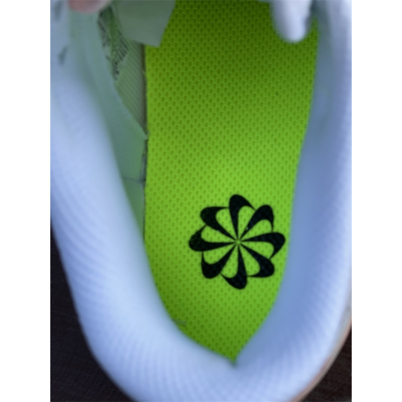 Nike Dunk Low "Move to Zero" DD1873 100 Sneakers Women