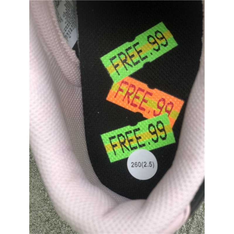 Nike Dunk Low SE "Free 99" DH0952 001 Sneakers Men Women