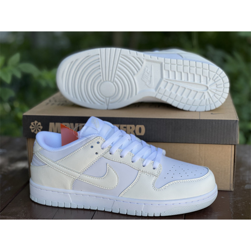 Nike SB Dunk Low DD1673 101 Sneakers Men Women